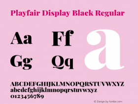 Playfair Display Black