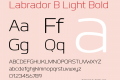 Labrador B Light