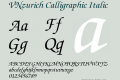 VNzurich Calligraphic