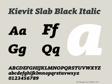 Kievit Slab Black