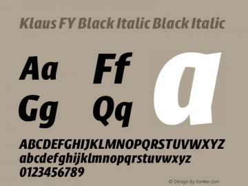 Klaus FY Black Italic