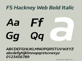 FS Hackney Web
