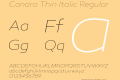 Canaro Thin Italic