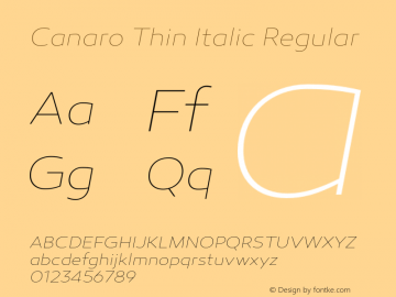 Canaro Thin Italic