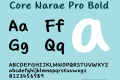 Core Narae Pro