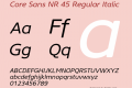 Core Sans NR 45 Regular