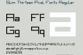 Slim Thirteen Pixel Fonts