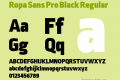 Ropa Sans Pro Black