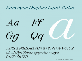 Surveyor Display Light