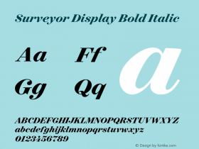 Surveyor Display Bold