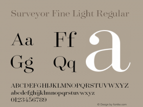 Surveyor Fine Light