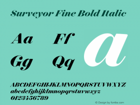 Surveyor Fine Bold