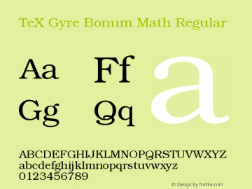 TeX Gyre Bonum Math