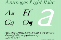 Animagus Light