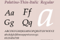 Palatino-Thin-Italic