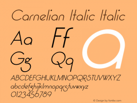 Carnelian Italic