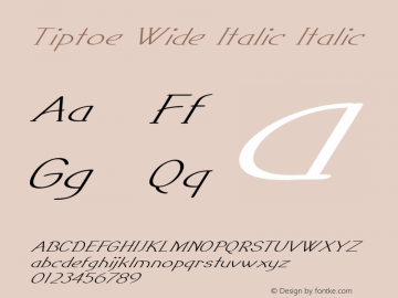 Tiptoe Wide Italic