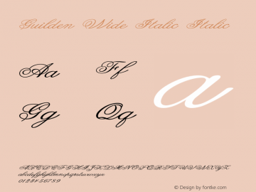 Guilden Wide Italic