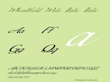 Wheatfield Wide Italic