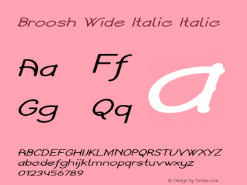 Broosh Wide Italic