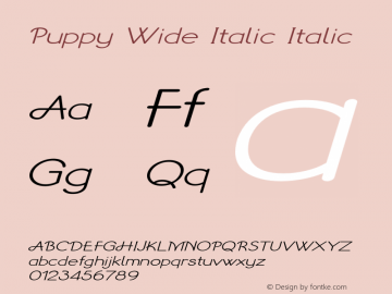 Puppy Wide Italic