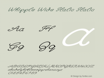 Whipple Wide Italic