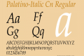 Palatino-Italic Cn