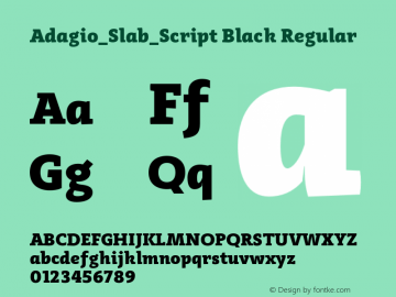 Adagio_Slab_Script Black
