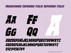 Freakfinder Expanded Italic