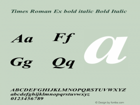 Times Roman Ex bold italic