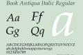 Book Antiqua Italic