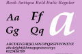 Book Antiqua Bold Italic