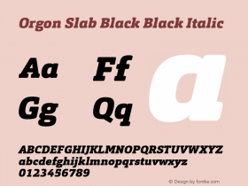 Orgon Slab Black