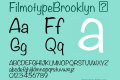 FilmotypeBrooklyn