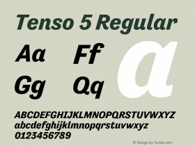 Tenso 5