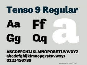 Tenso 9