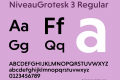 NiveauGrotesk 3