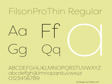 FilsonProThin