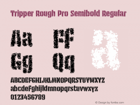 Tripper Rough Pro Semibold