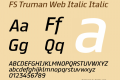 FS Truman Web Italic