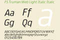 FS Truman Web Light Italic