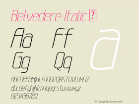 Belvedere-Italic