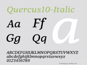 Quercus10-Italic