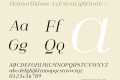 HeimatDidone-14ExtraLightItalic