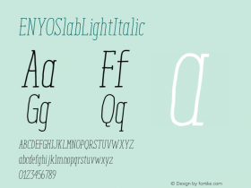 ENYOSlabLightItalic