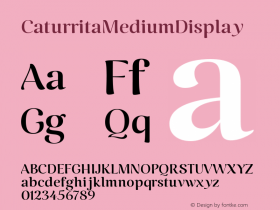 CaturritaMediumDisplay