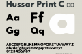 Hussar Print C