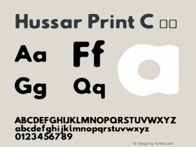 Hussar Print C
