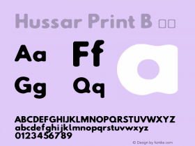 Hussar Print B