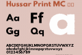 Hussar Print MC